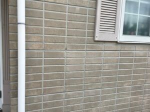 外壁の黒ずみや汚れ